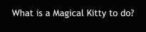 What is a Magical Kitty to do?