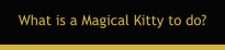 What is a Magical Kitty to do?